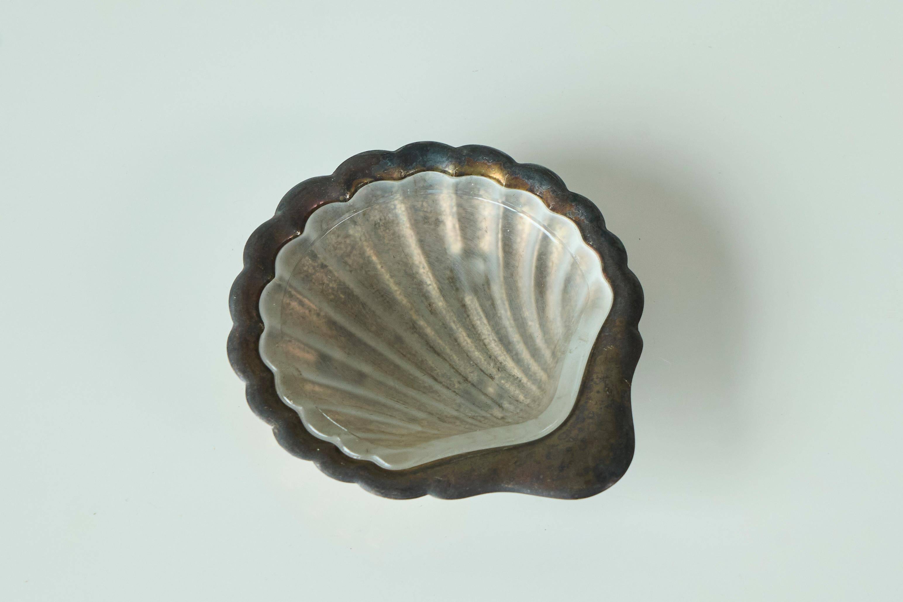 Art Deco Shell Pocket Bowl in Patinated Silver and Satin Glass from the 1930s