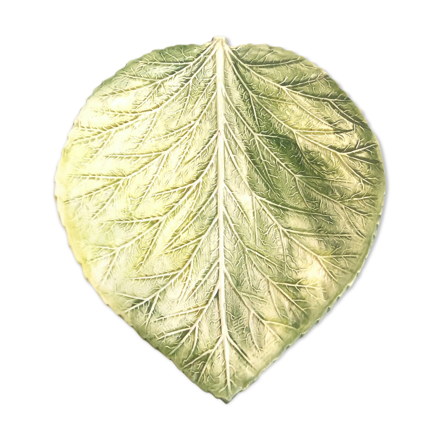 Green dabded leaf dish