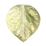 Green dabded leaf dish