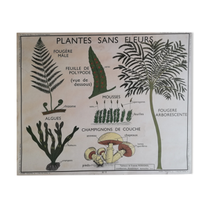 Affiche scolaire ancienne