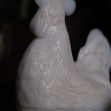 Opaline fair rooster