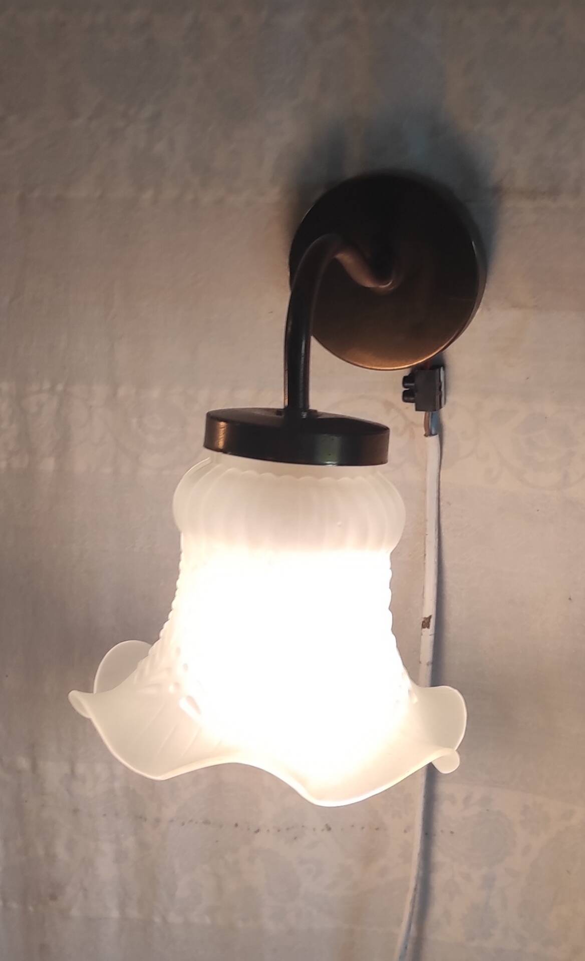 Swan neck wall lights in brass and glass - mid 20th century.