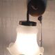 Swan neck wall lights in brass and glass - mid 20th century.