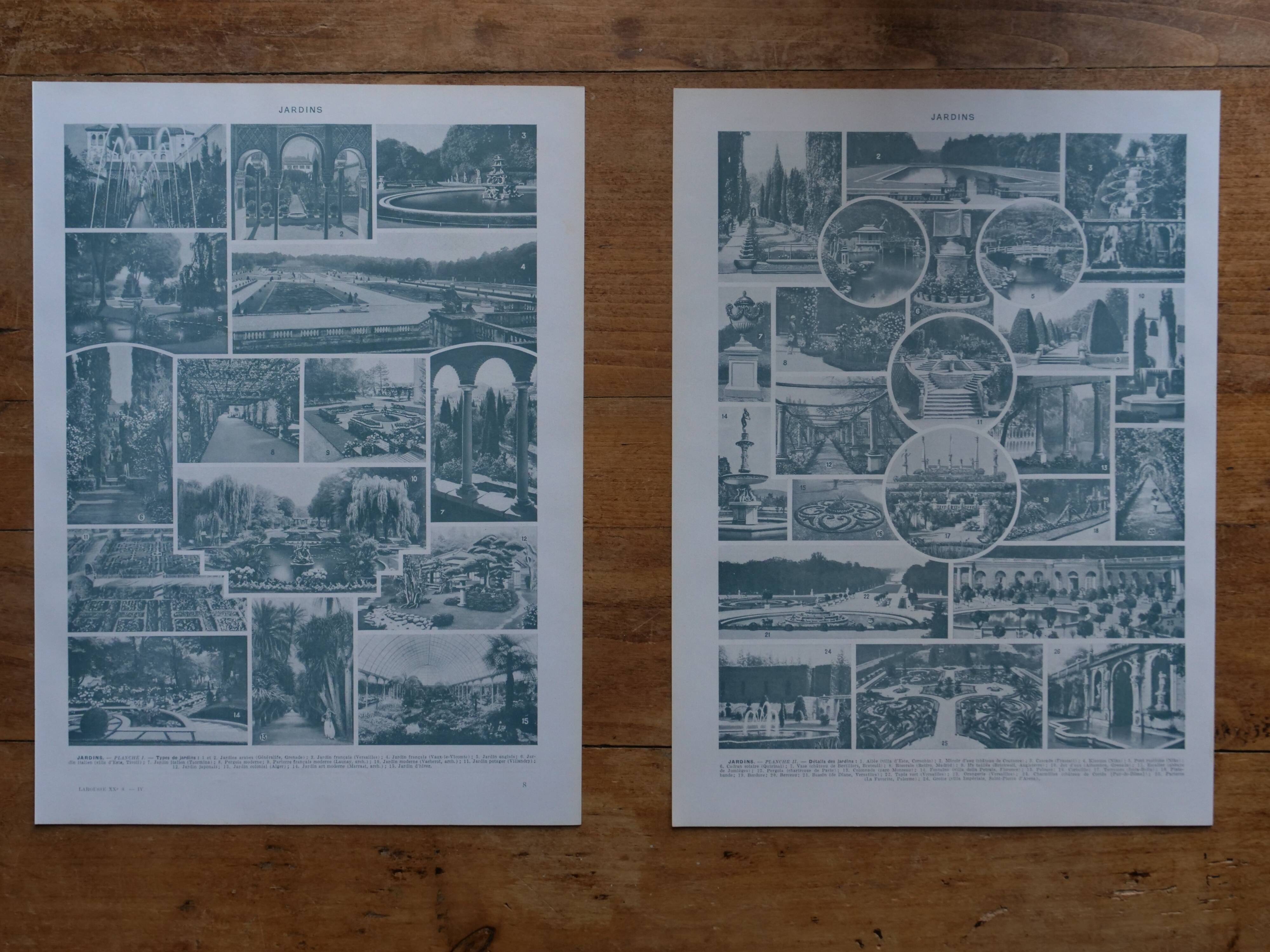 Original lithographs on gardens and ornamental trees