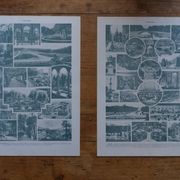 Original lithographs on gardens and ornamental trees