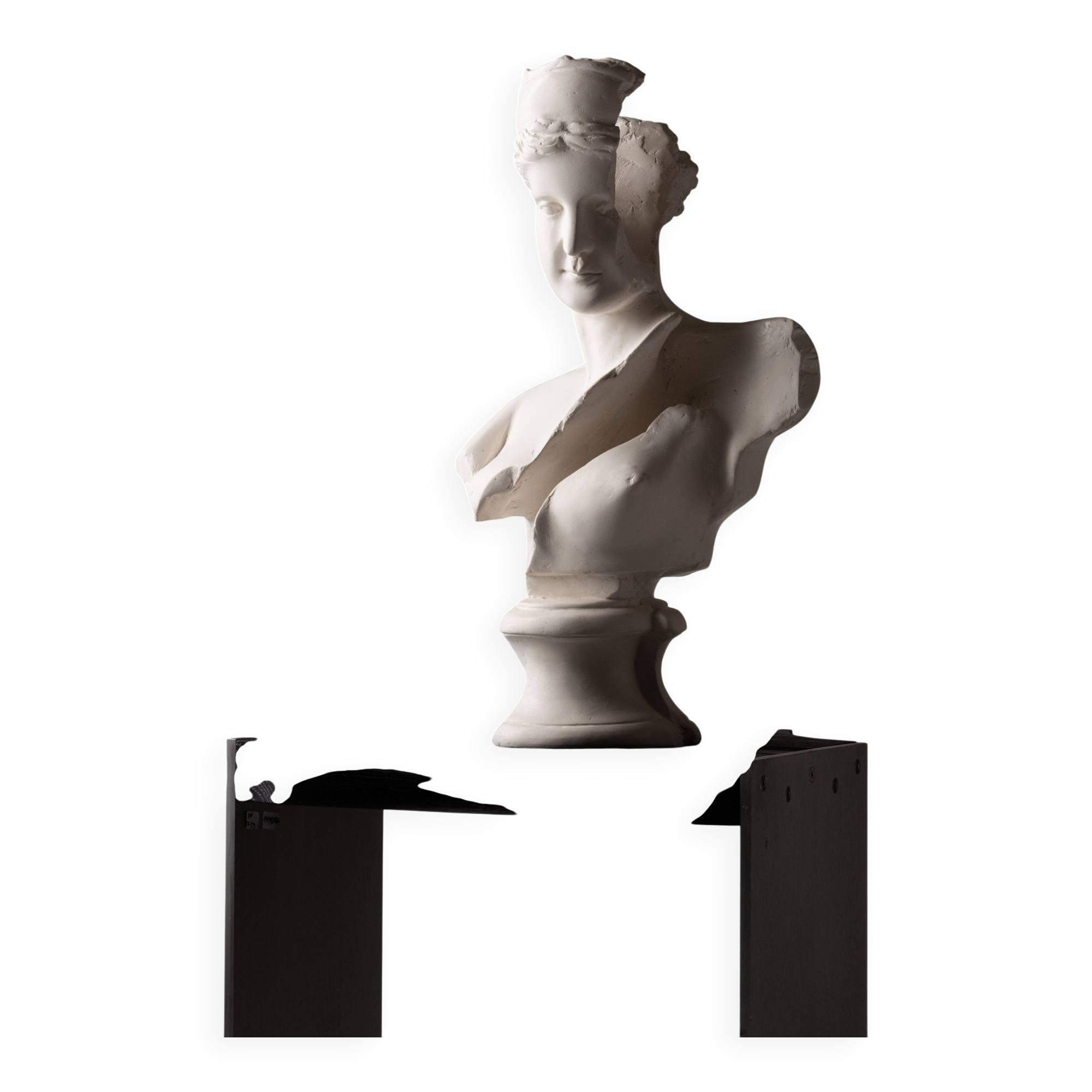 Fragmented Venus Sculpture #9