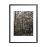 Island Mljet, Adriatic Sea 02