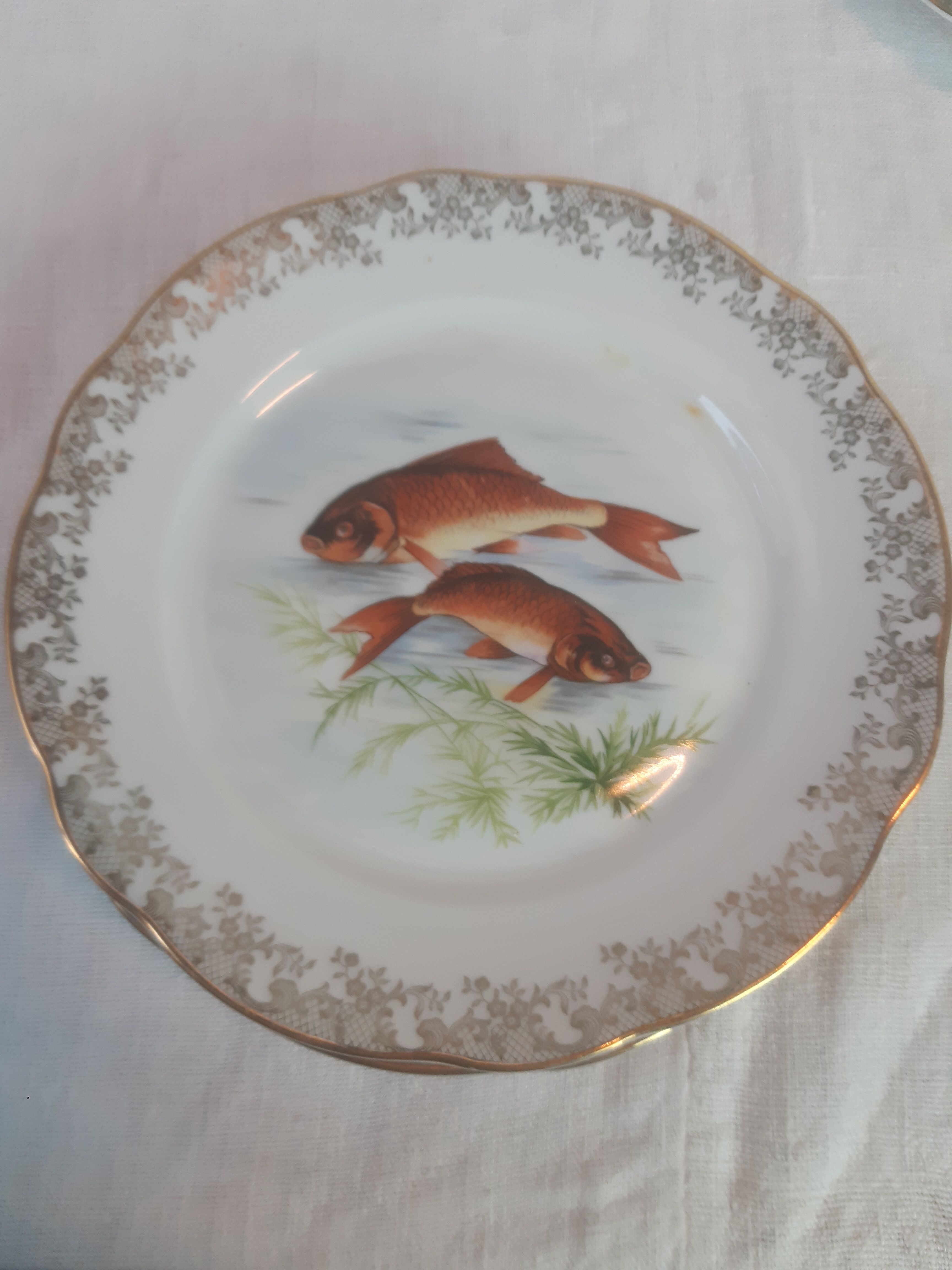 Lot of fish plates