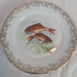 Lot of fish plates