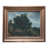 19th century oil painting on canvas, countryside landscape dated and signed