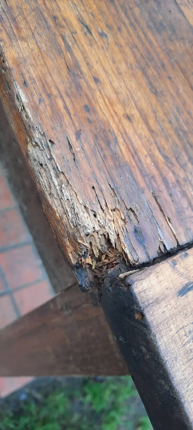 Farm table and pair of benches