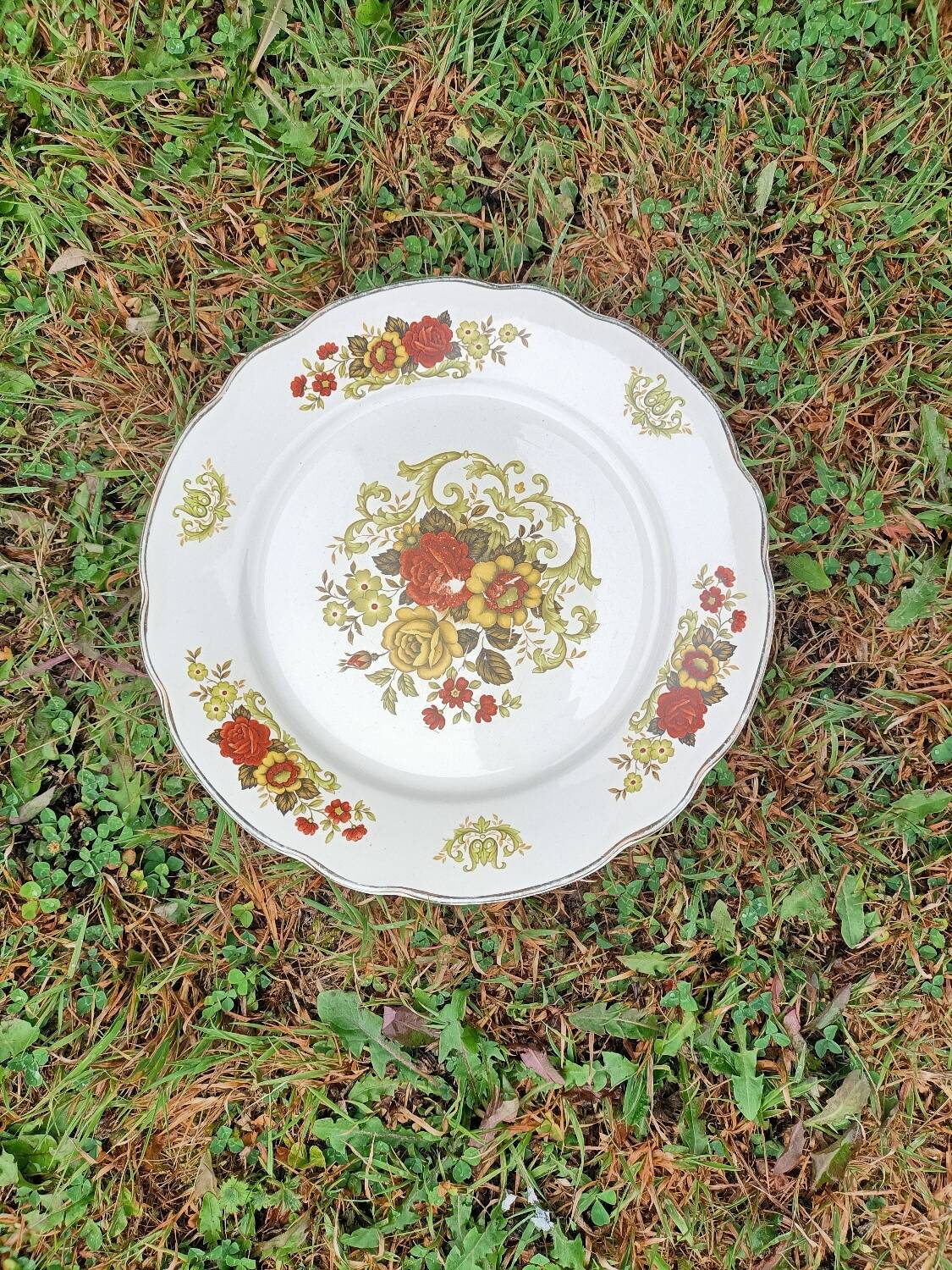 Digoin Sarreguemines dinner plate