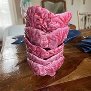 Set of pink cabbage bowls 🥬