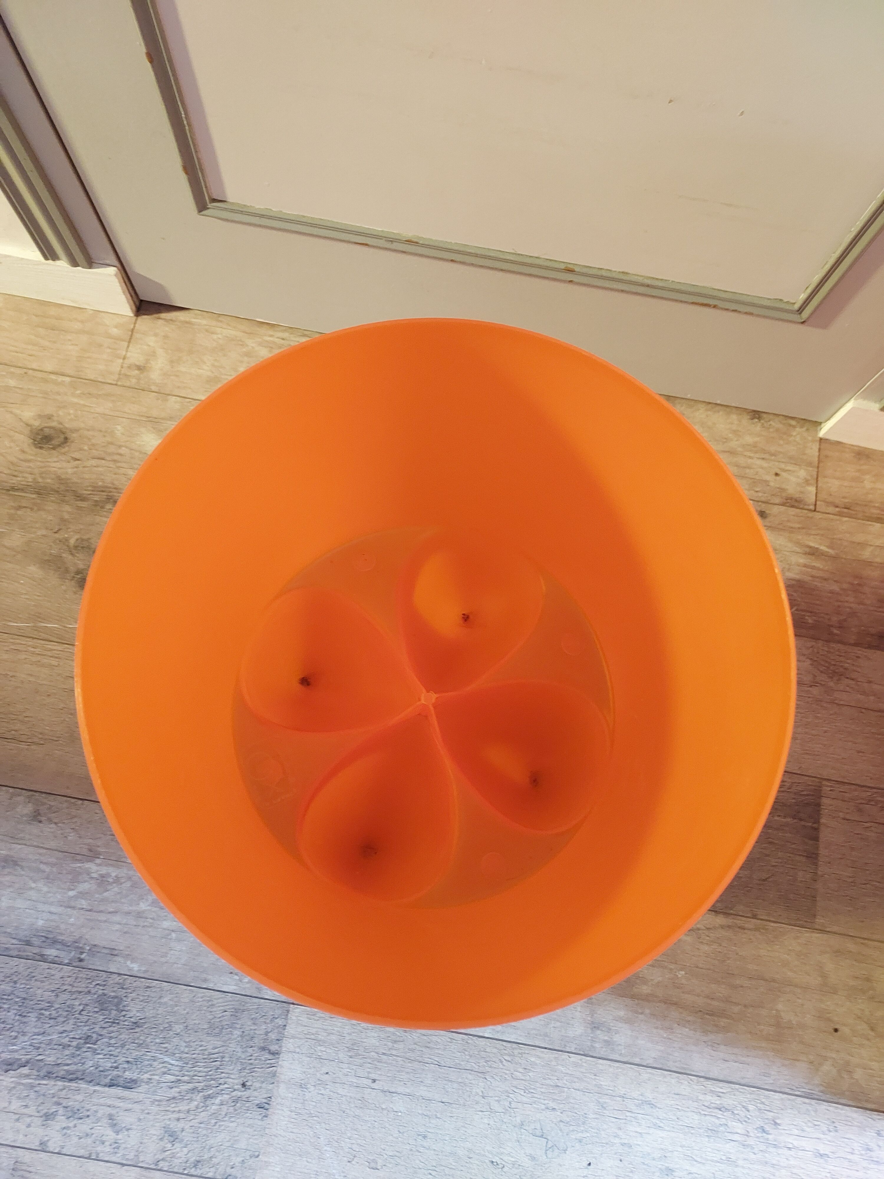 Bubu Stool 1st by Philippe Starck