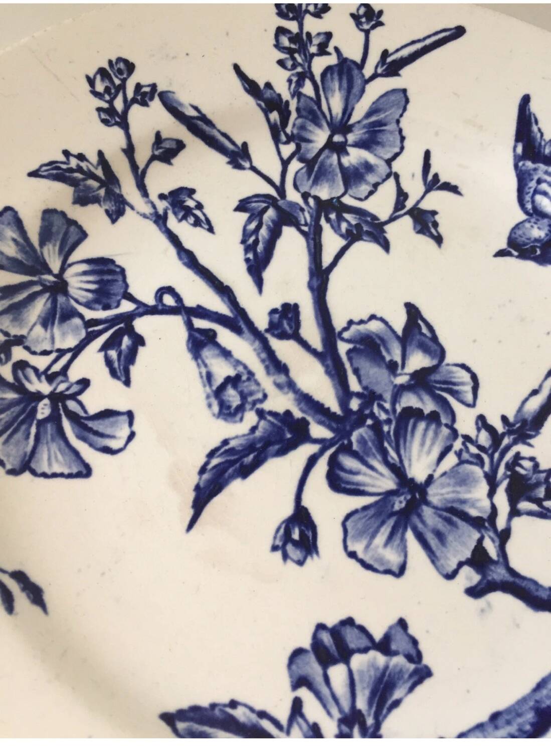 Antique Longchamp Ironstone Compote Dish, 19th Century