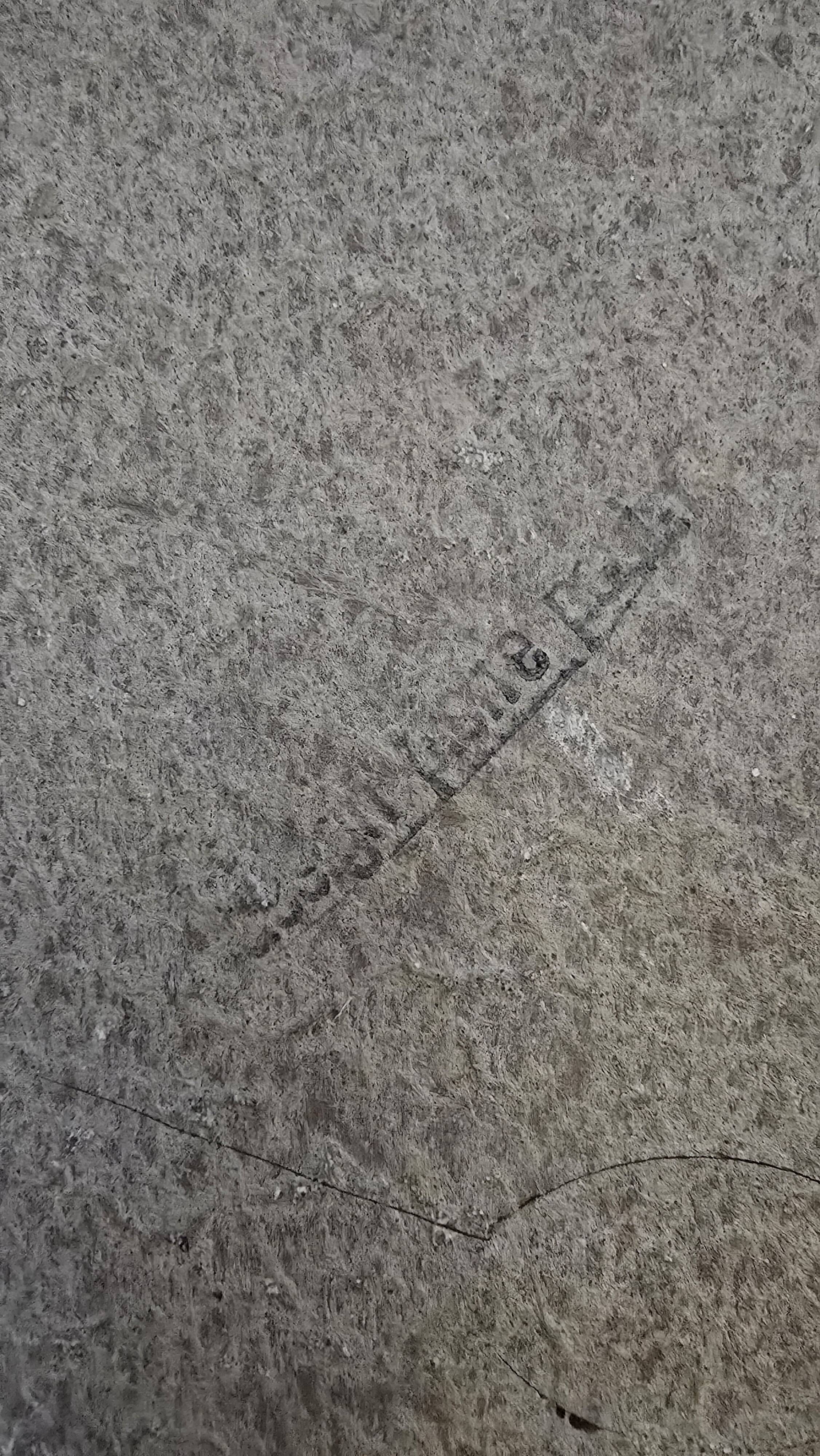 Fauteuil champignon de Pierre Paulin