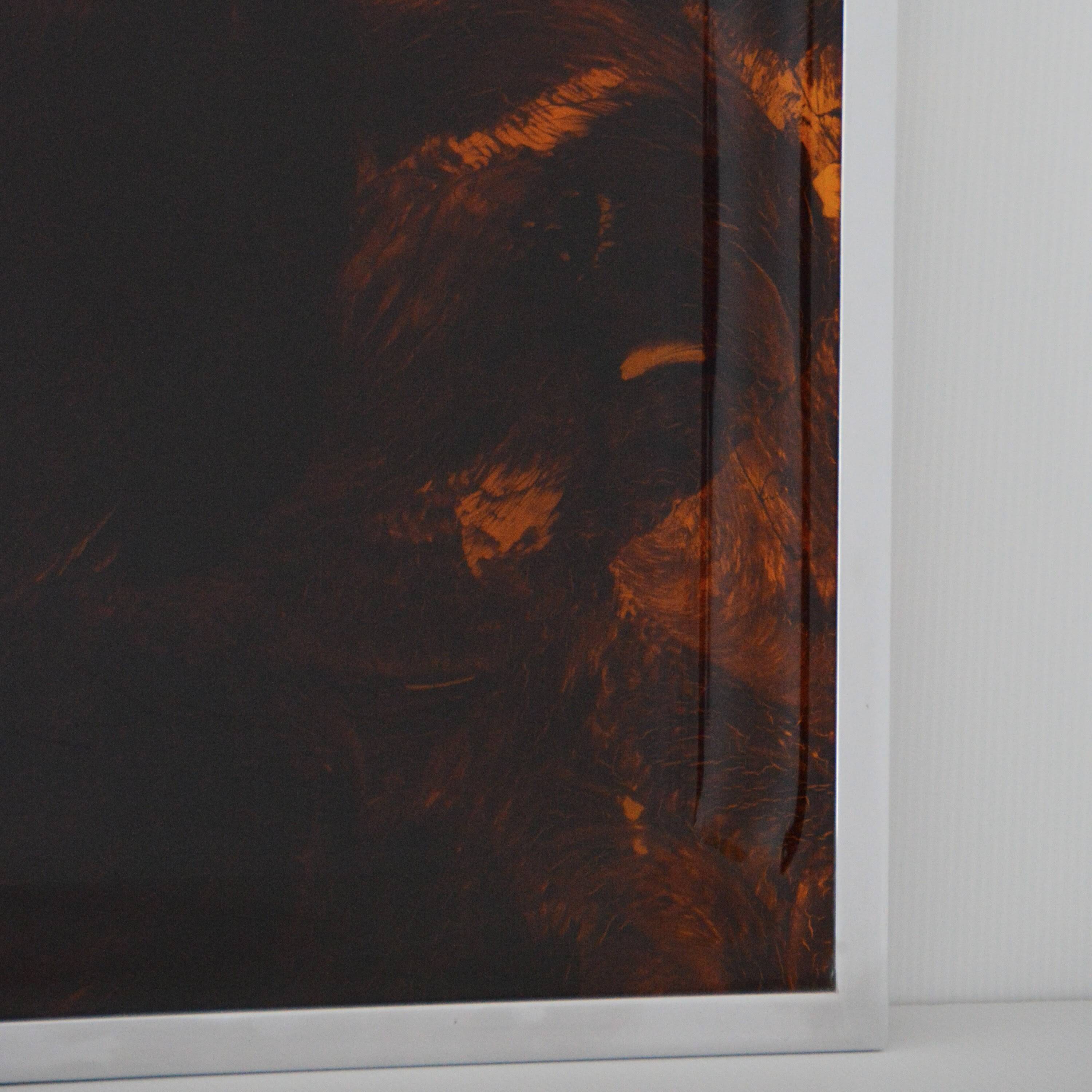 Plateau Christian Dior in plexiglass imitation tortoiseshell and chrome.