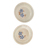 Lot 2 antique porcelain plates