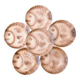 6 large Sarreguemines flat plates in fish barbotine