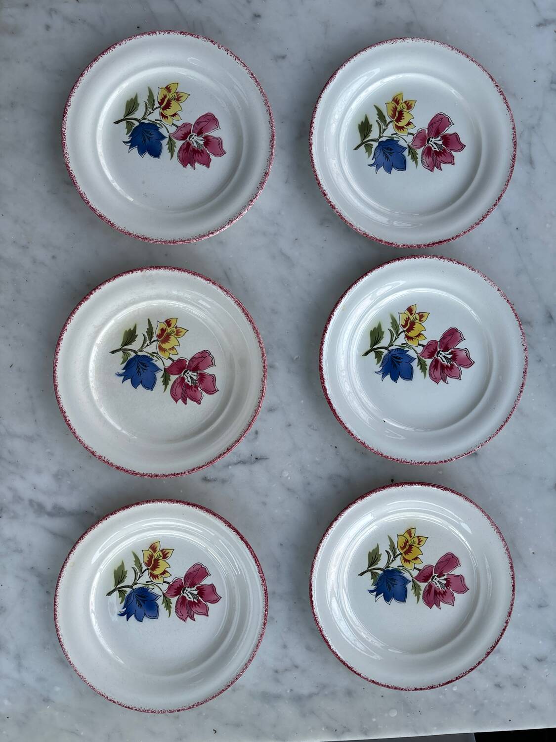 Set of 6 Saint Amand Maïté plates
