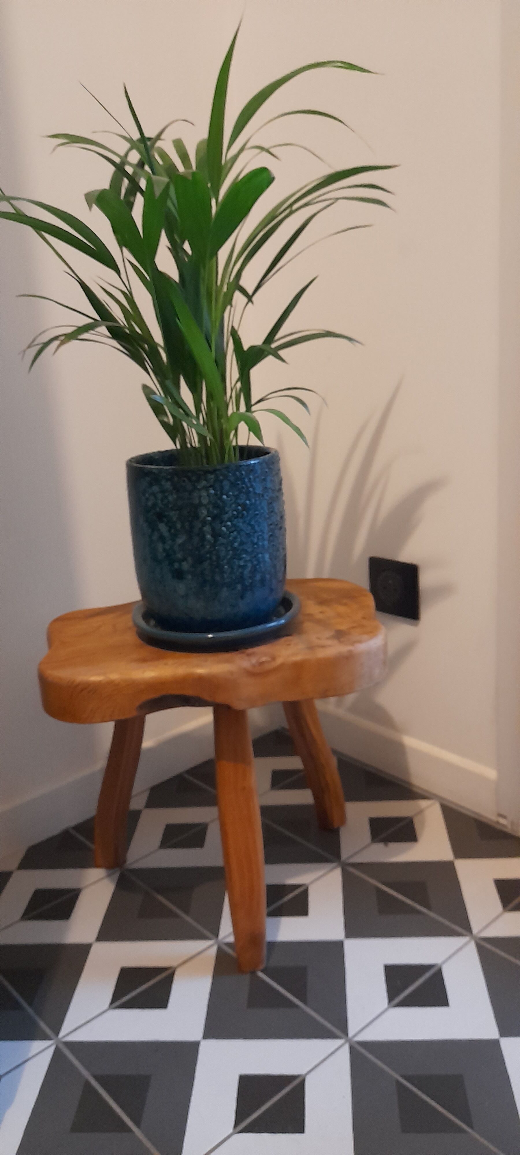 Brutalist tripod stool in solid elm