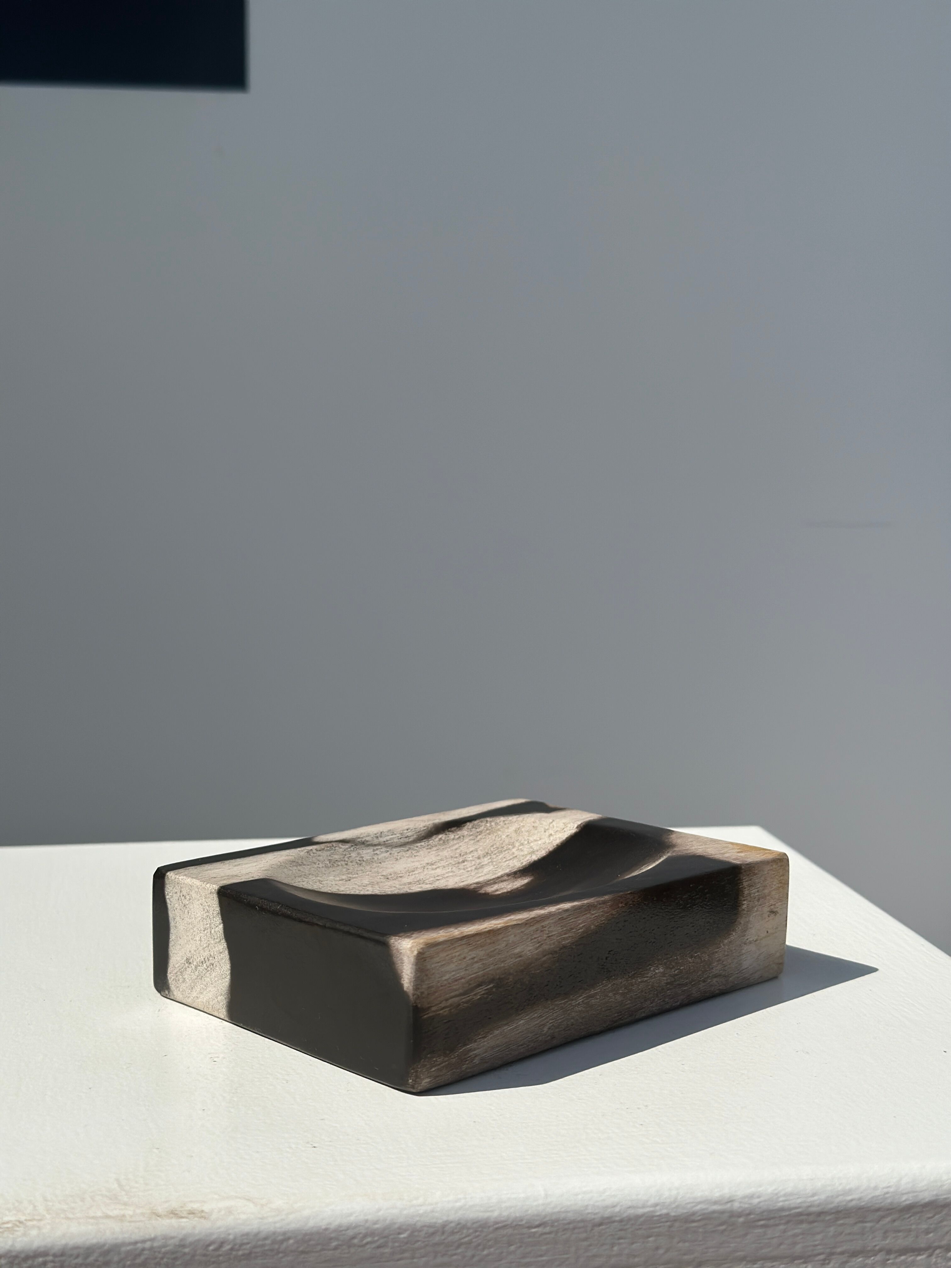 Symmetrical multicolored petrified wood soap dish