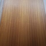 Scandinavian extendable teak table, 1970s
