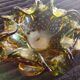 Murano bubble glass catchall