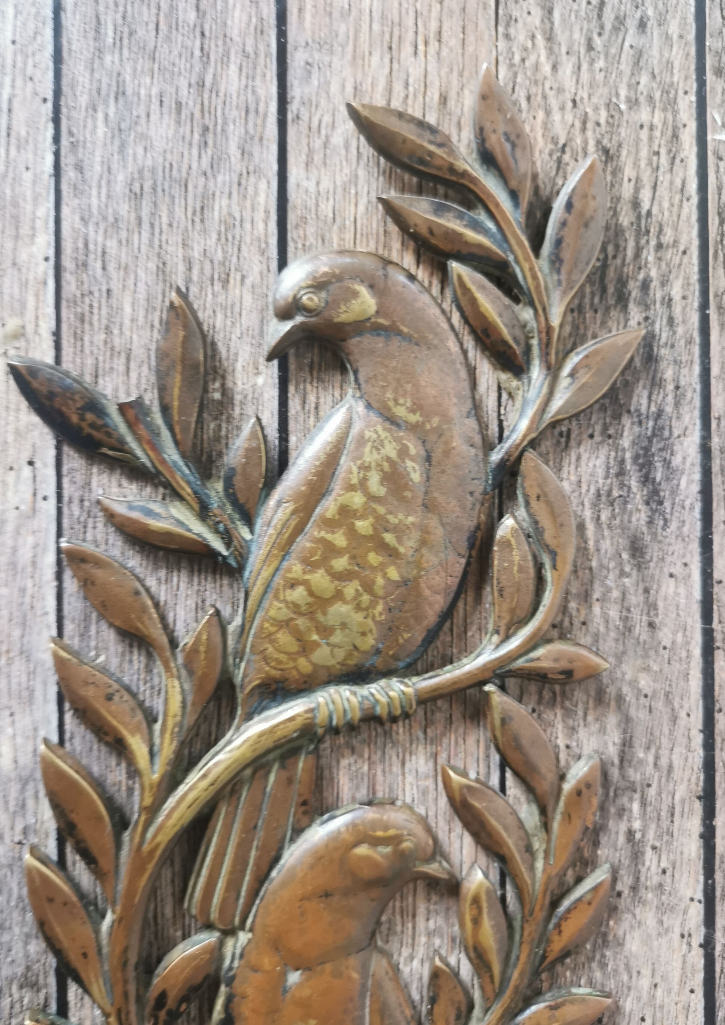 Bird wall plate