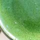 Set 5 plates flat caps dessert in green glazed earth 1960