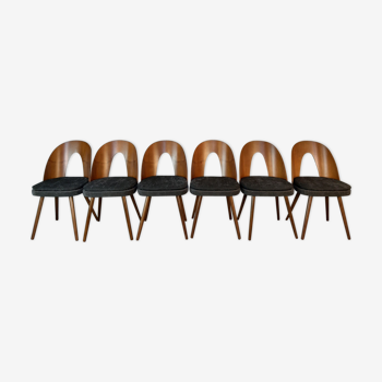 Set 6 chairs Walnut Suman by MIER, Mid-Century Czechoslovakia 1960 s