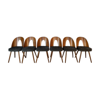 Set 6 chairs Walnut Suman by MIER, Mid-Century Czechoslovakia 1960 s