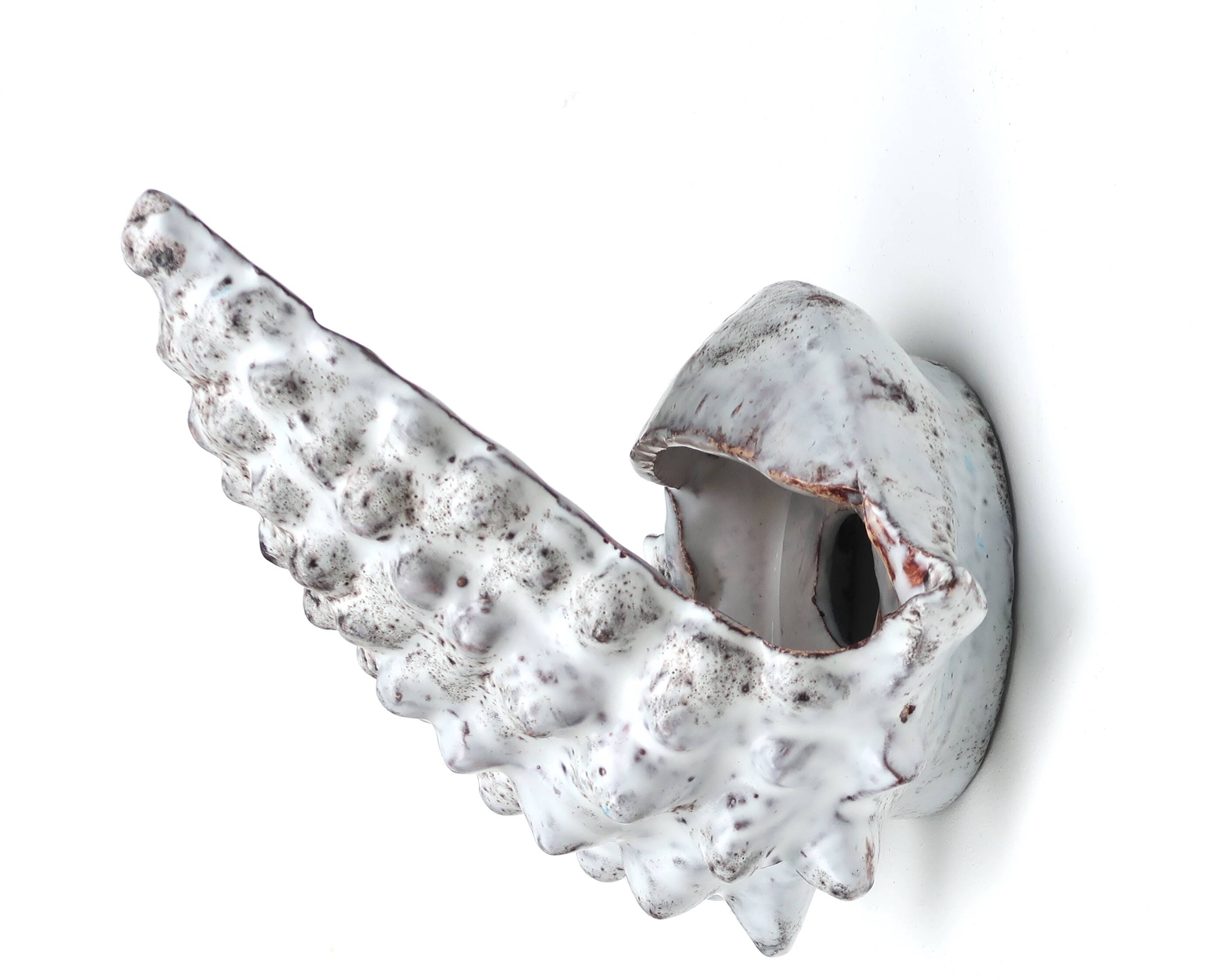 Grey ceramic shell wall lamp, Vallauris, 1960s