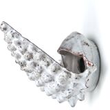 Grey ceramic shell wall lamp, Vallauris, 1960s