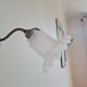 Brass tulip wall lamp and matte tempered glass