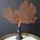 Red Gorgon Base in brown. H: 29 cm | Decorative Object & Curiosity