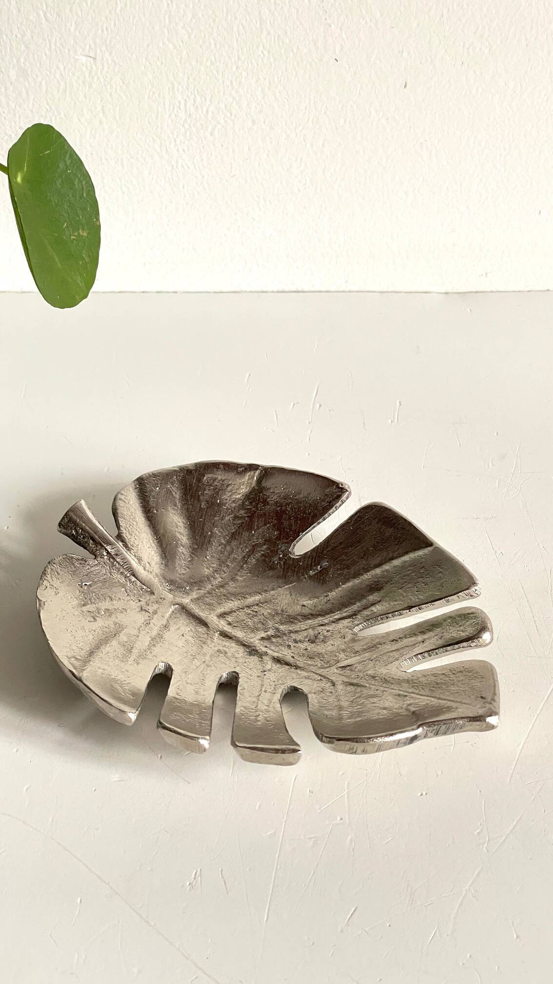 Leaf-shaped metal pocket emptier