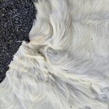 Vintage goatskins