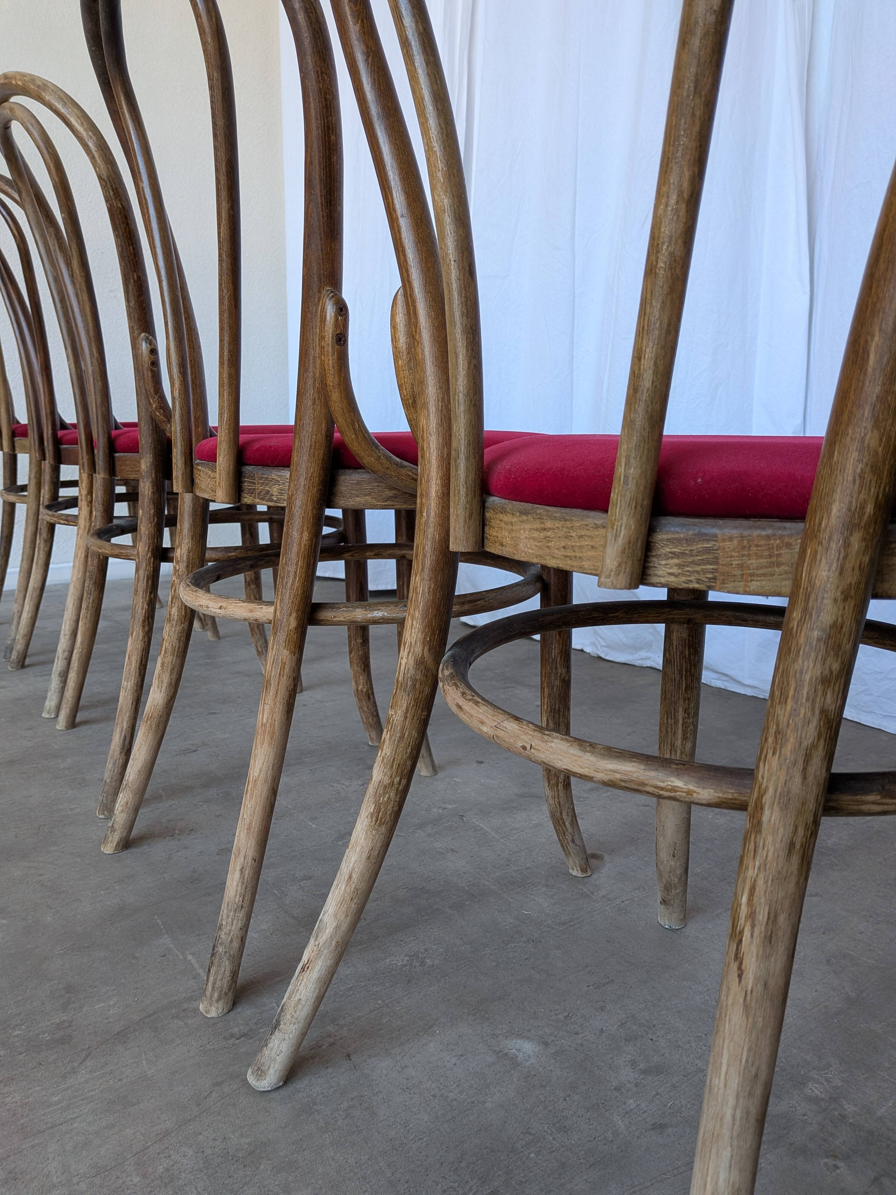 Set of 6 Vintage Bentwood Dining Chairs Set: 1970s , Red Uphols