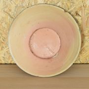 Talavera de la Reina Dish Lebrillo Parsley Ceramic from Spain XIX