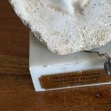 Small Greek plaster bust