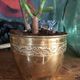 Copper pot cover