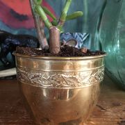 Cache pot en cuivre