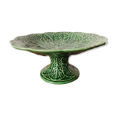 Cabbage mounted cut