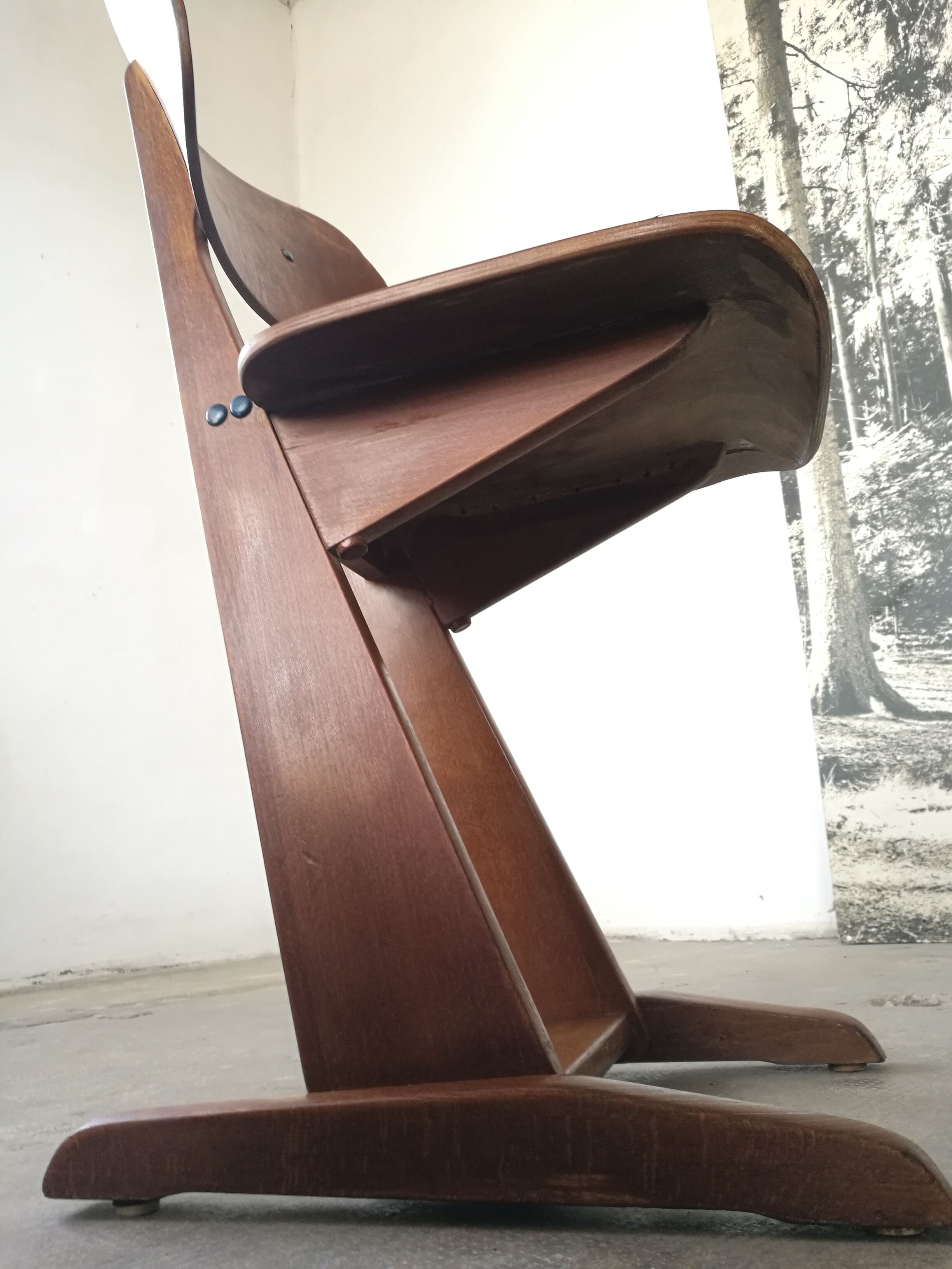 Adult Casala chair