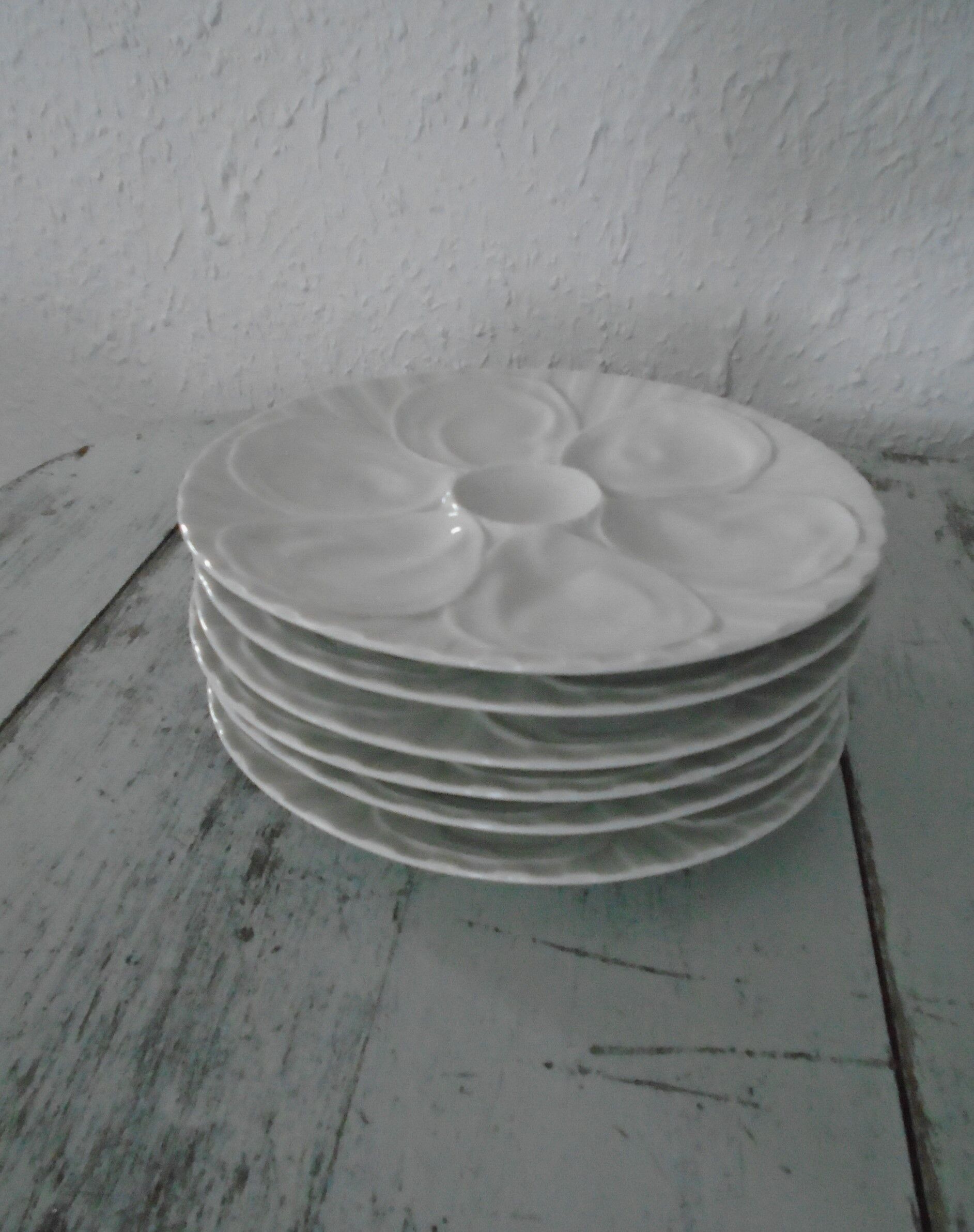 6 plates with white presentation oysters Pillivuyt France