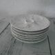 6 plates with white presentation oysters Pillivuyt France