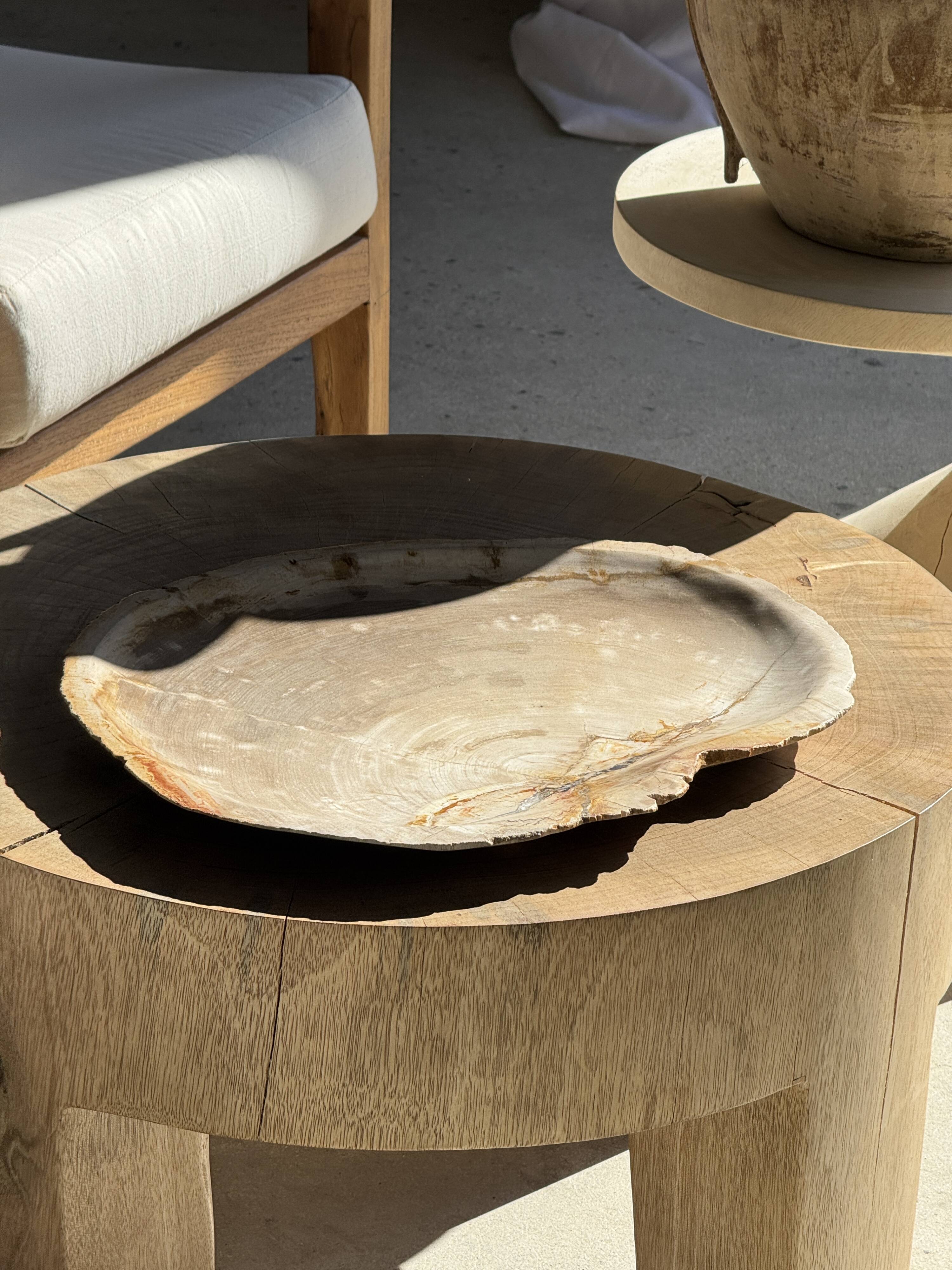 Very large pocket tray or dish in beige petrified wood D35