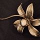 Brass organically shaped double ceiling or wall lights, 1970s