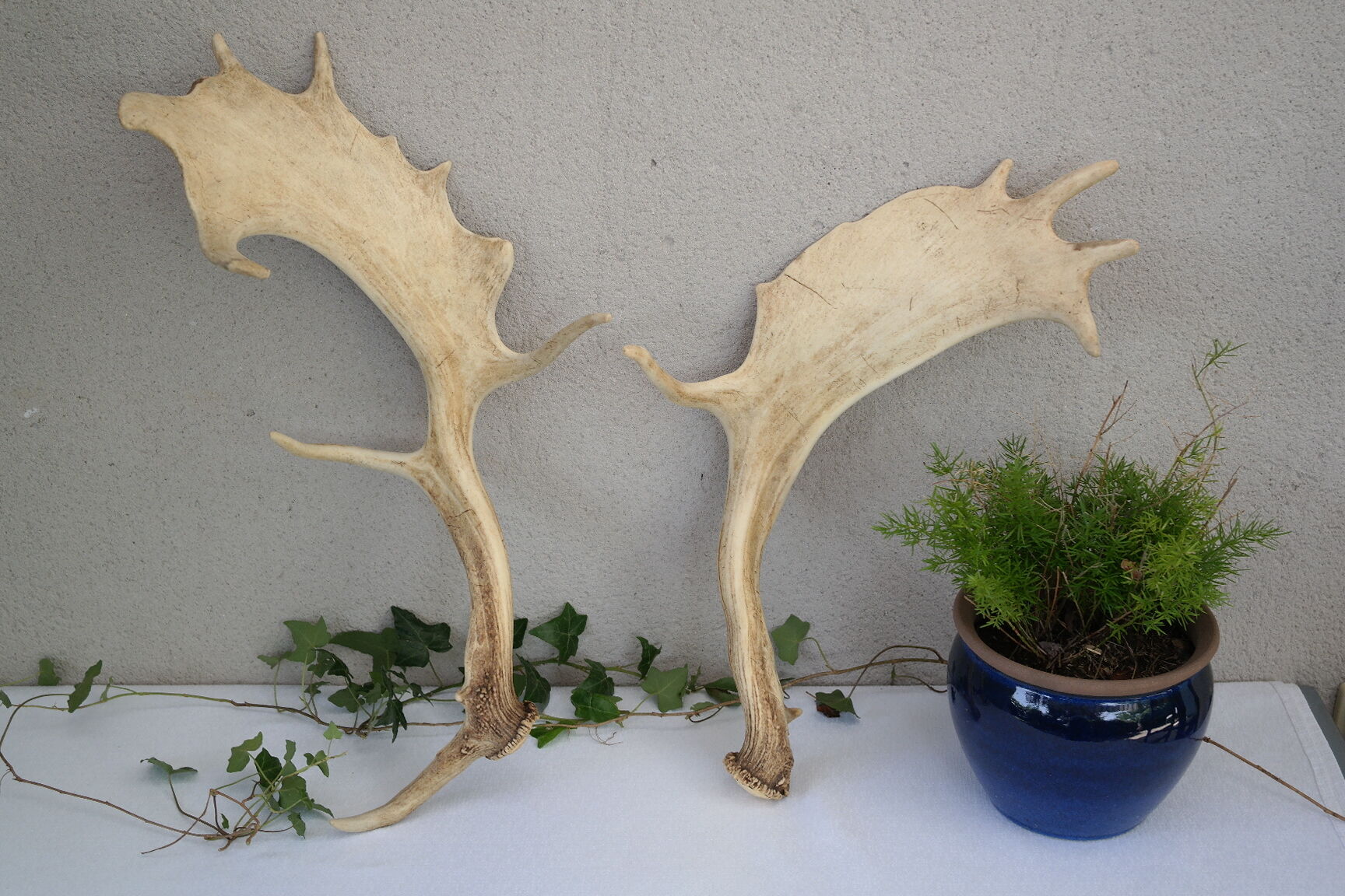 Pair of suede wood europe
